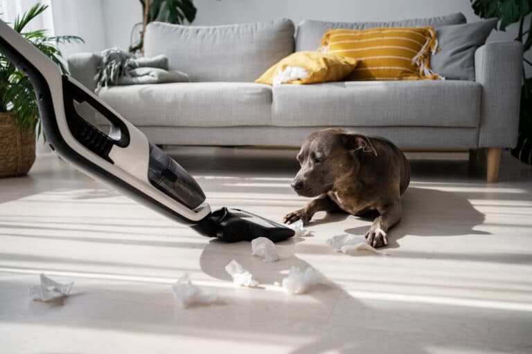 pet friendly vacuum cleaner